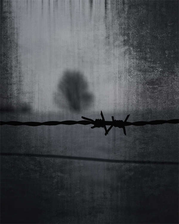 A0b0a235 0b70 4e6d 9317 7c0c7f88c0a2